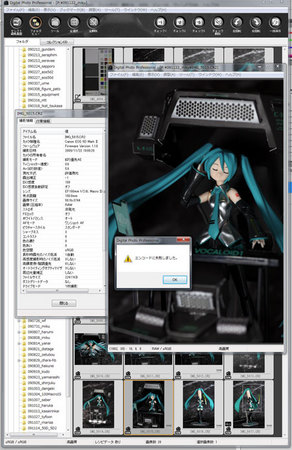 091123_dpp-ps.jpg