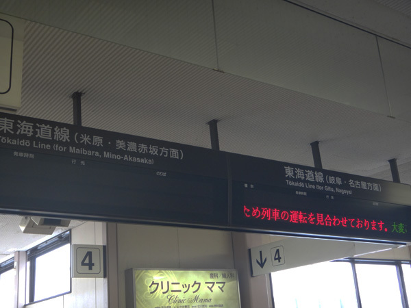 DSC00617.jpg