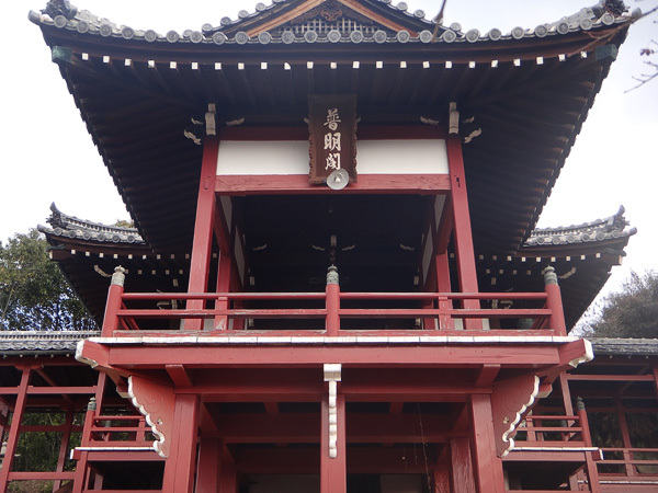 DSC01485.jpg