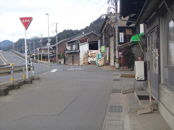 DSC01548.jpg