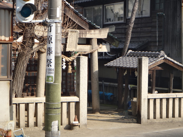 DSC01582.jpg
