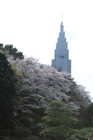 IMG_6459.JPG
